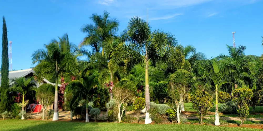 ANR Farms located in Trelawny Parish