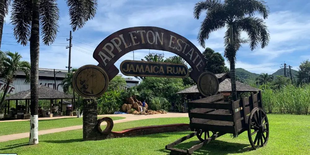 Appleton Estate in St Elizabeth Parish