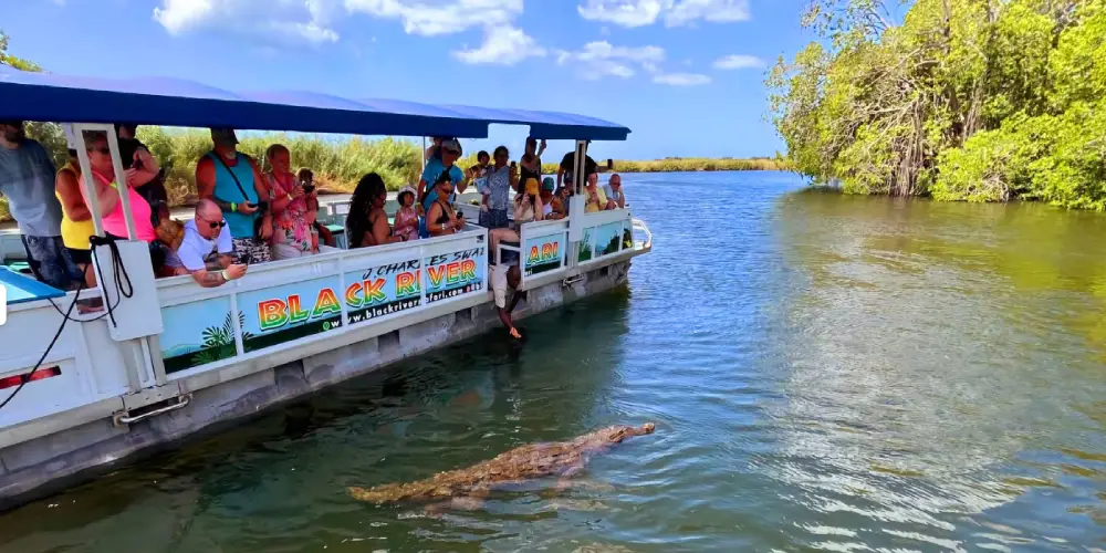 Black safari Tours in St Elizabeth Parish
