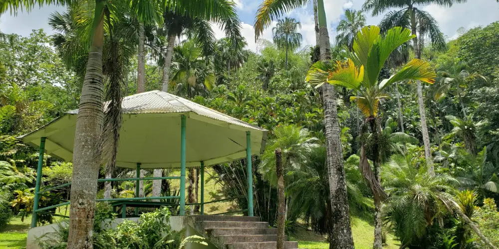 Castleton gardens in Saint Mary Parish