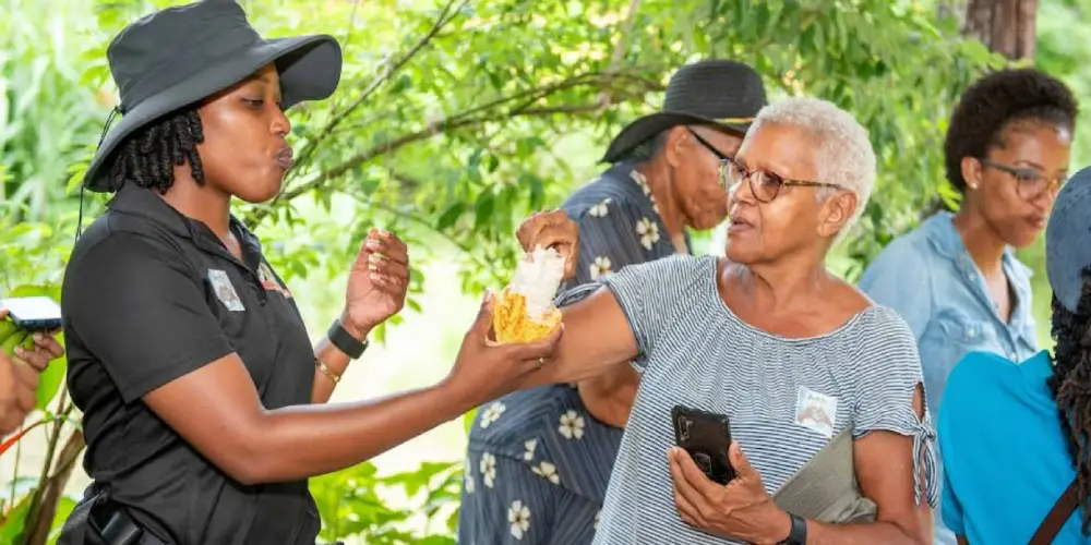 Catadupa Heritage and Eco Tours in Saint James Parish